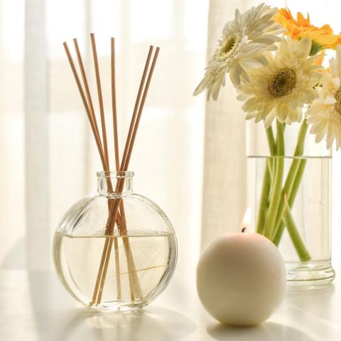 Sustainable Scent Solutions: Eco-Friendly Alternatives for a Greener Home