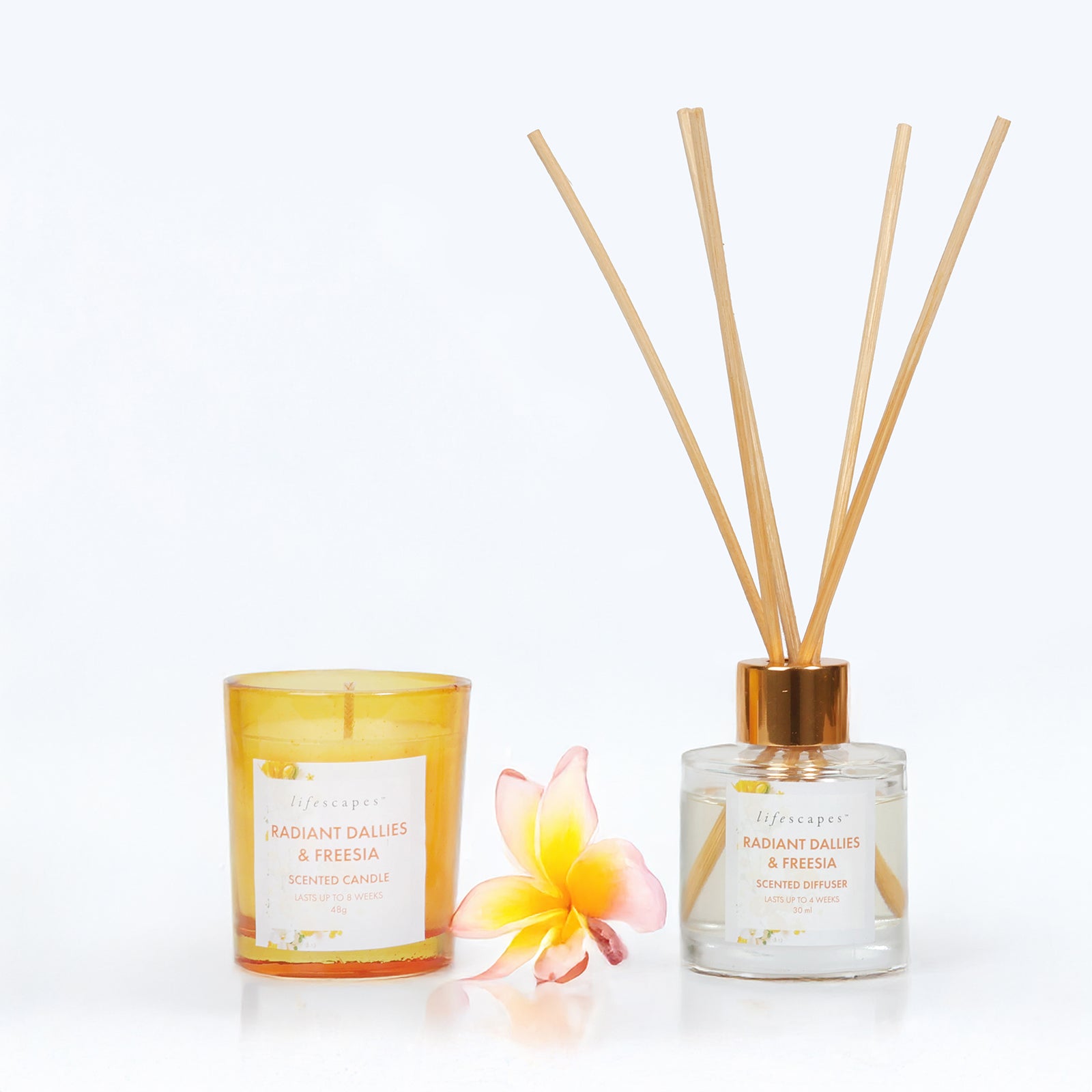 Lifescapes Scented Giftset – Radiant Dallies & Freesia