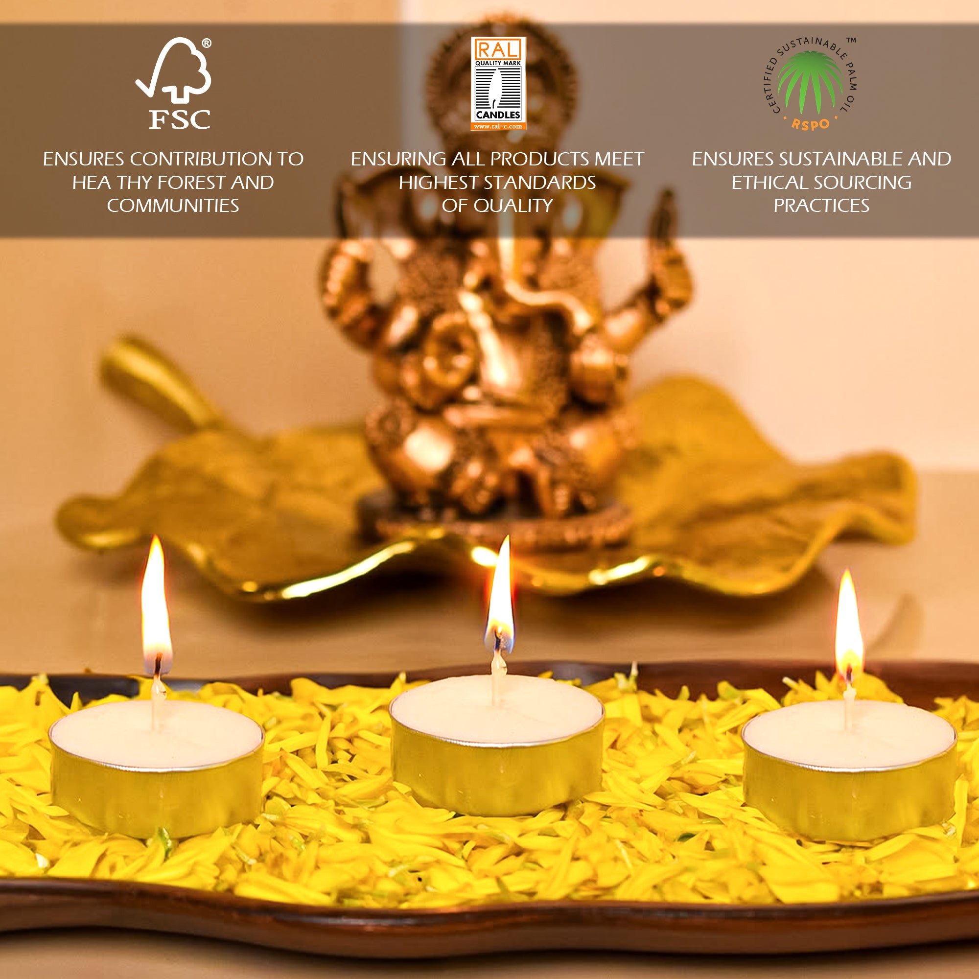 Nalini Colored Tea lights - Pack of 100