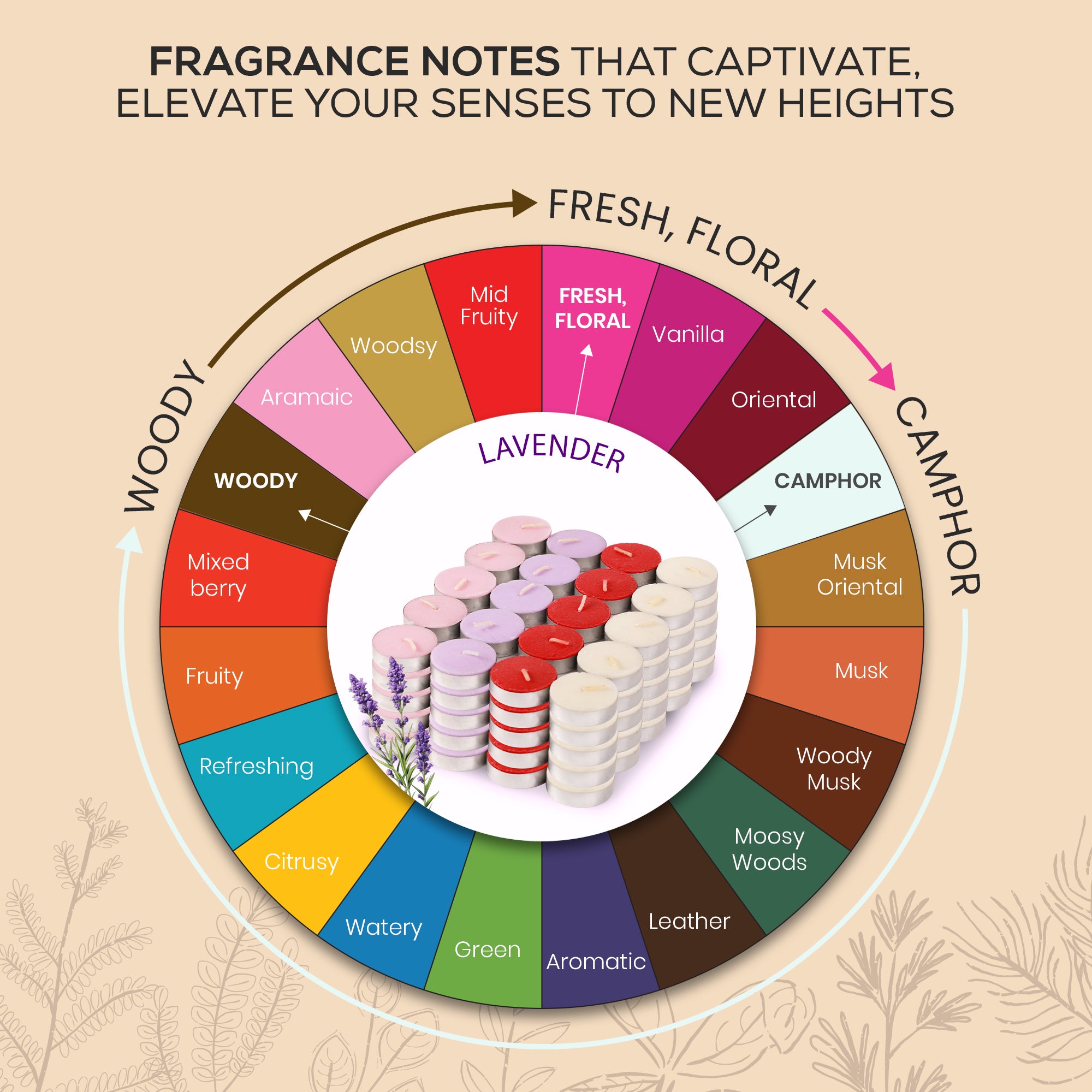 Nalini Colored Tea lights - Pack of 100