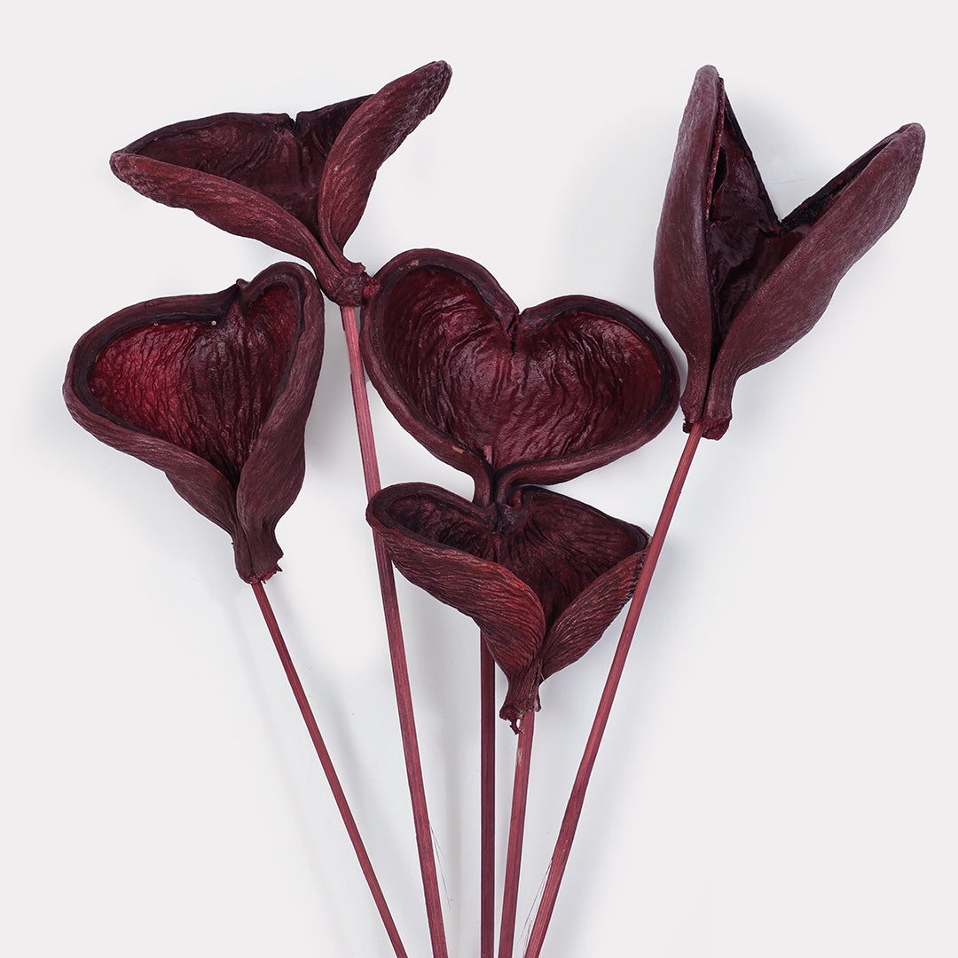 Badam Stems - Set of 5