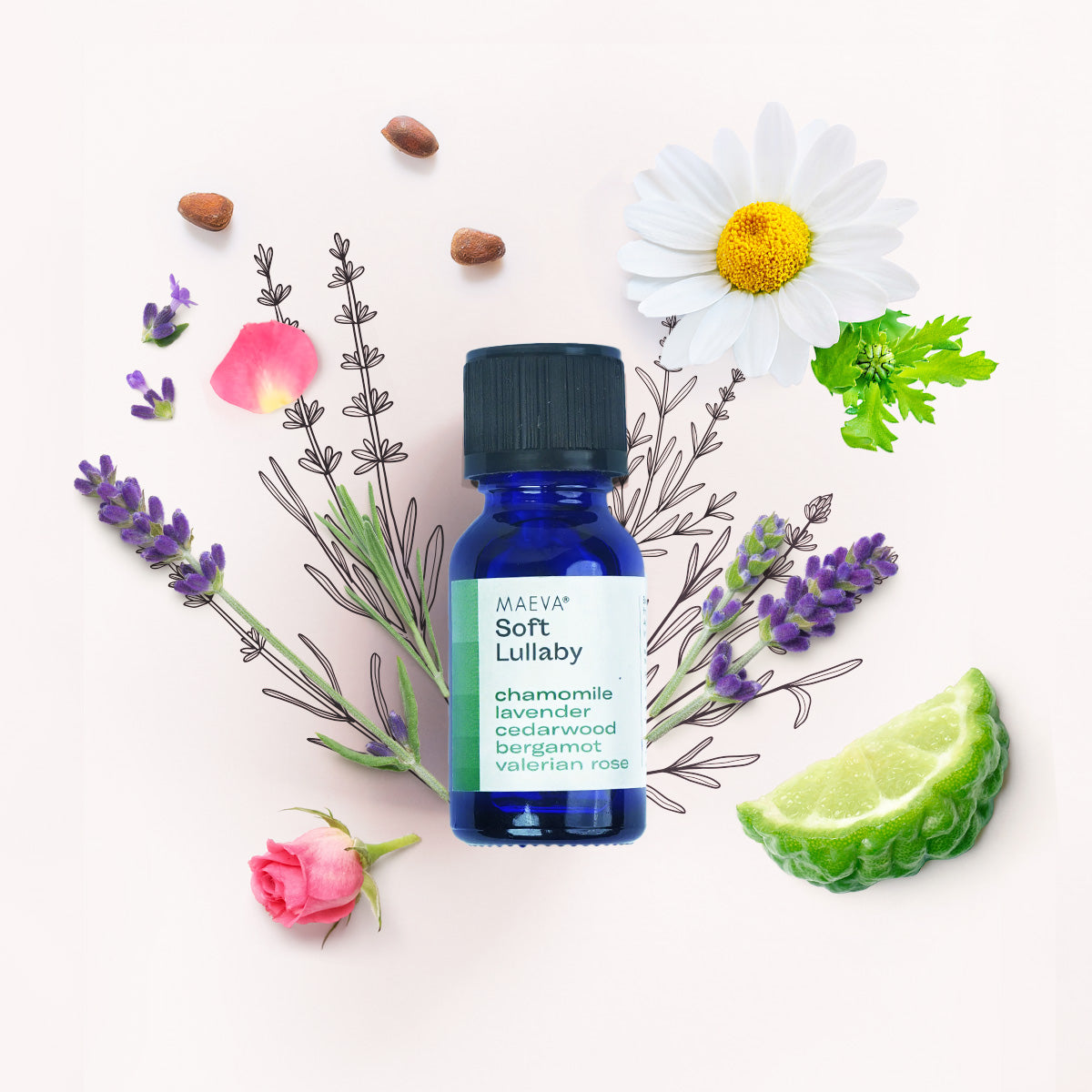 Soft Lullaby Mood Elevator