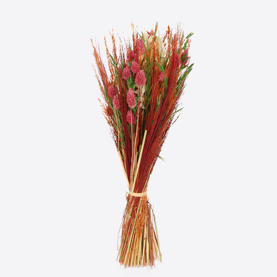 Springday dried flower bunch