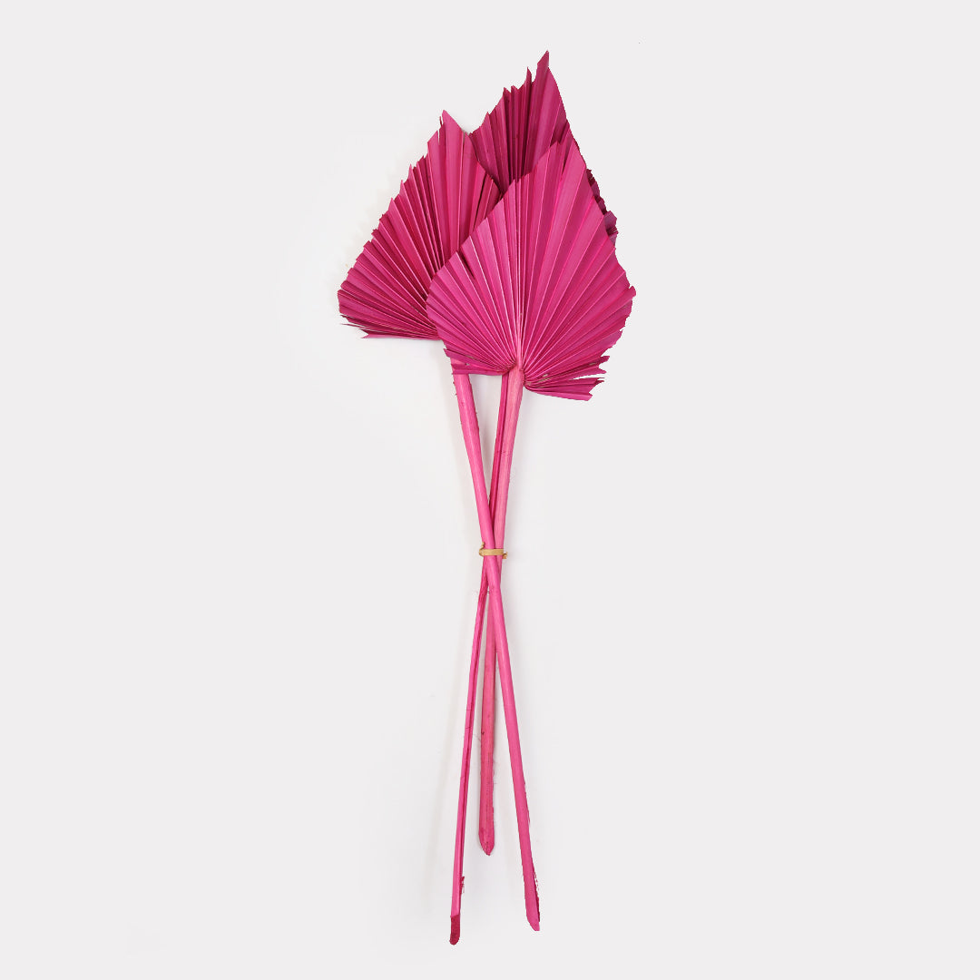 Natural dried botanical Palm stems in pink