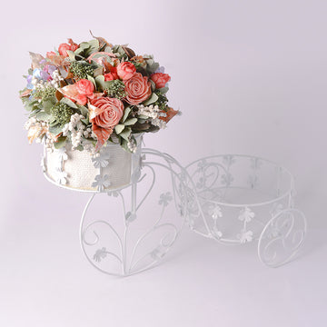 Aster Gift Cycle