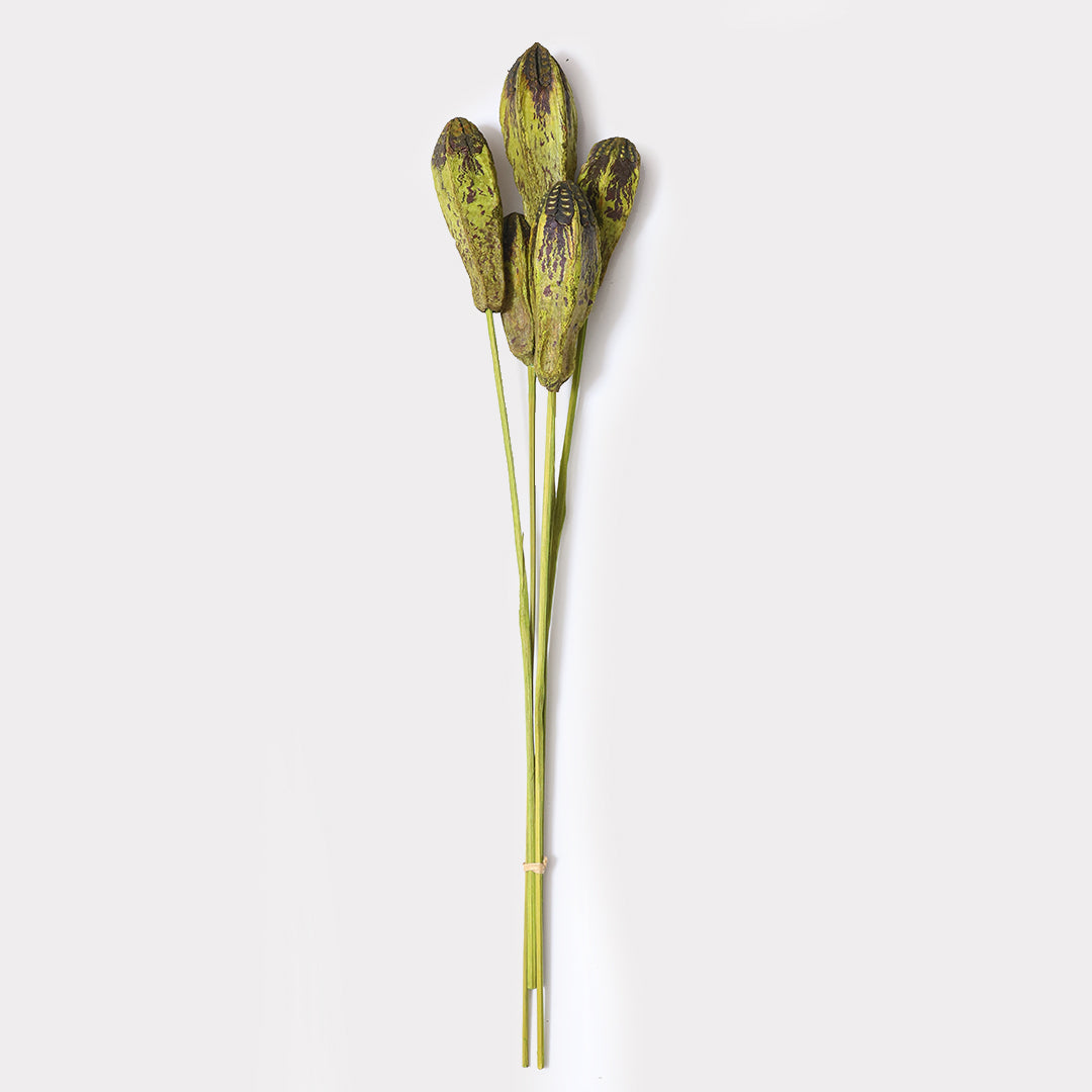 Natural Megoany stems set of 5 in green